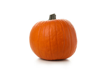 One fresh pumpkin isolated on white background
