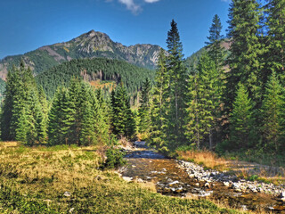 Obraz premium Mountain landscape