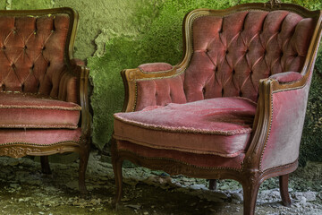 red sofa in a moldy room detail