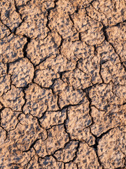 surface of land after dry days win light and shadows for background