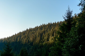 The charm and grandeur of the Ukrainian mountains, the trails to the mountain Chornohirsky Pip Ivan.