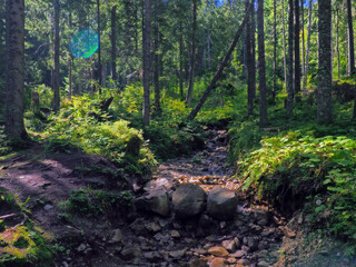 Obraz premium Scenic views of footpaths in Tatra mountains
