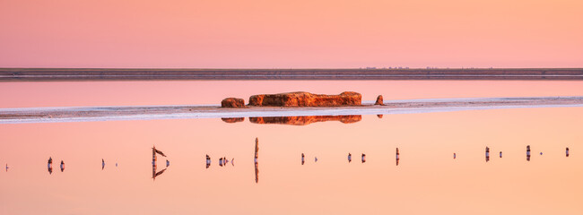 panorama of sunrise around pink lake with golden island and old wooden trunks in calm water