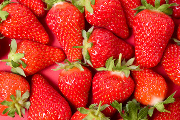 Ripe juicy orgaic strawberries on a red background.