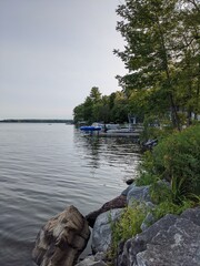 lake and trees
