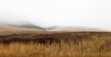 Dreary, foggy, empty, and barren winter landscape at the National Bison Range wildlife refuge,...