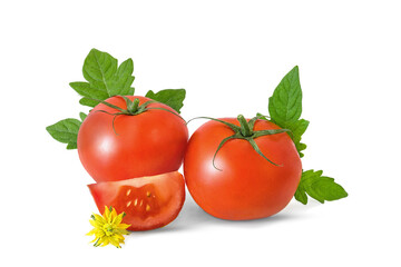 Organic ripe tomato with leaves and flower isolated on a white background.
