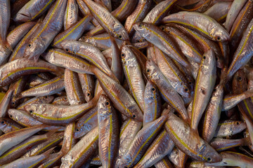 red mullet  in a market