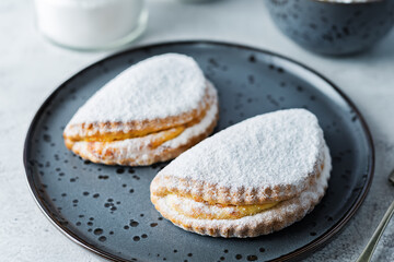 Cottage cheese cookies sochnik with powdered sugar on a plate