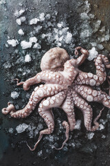 close-up view of octopus with ice on grey background 