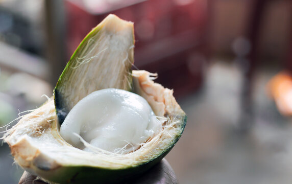 tender white coconut meat malai scooped out of raw coconut selectively focussed
