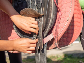 Girl set buckle on abdomen girth of classic saddle