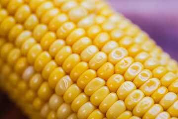 yellow corn stalk close up photo in wooden background