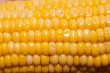 yellow corn stalk close up photo in wooden background