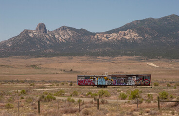 abandoned trailer covered in graffiti