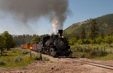 Obraz na płótnie Canvas steam train in the forest