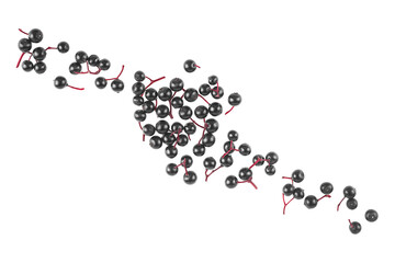 Fresh berries of black elder isolated on a white background, top view. Black elderberries.