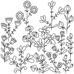 A set of doodl twigs with three flowers on each, decorative leaves and berries,  outline fantasy plants