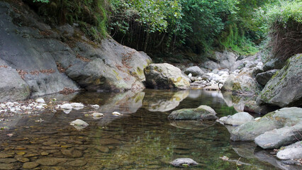 Naklejka na ściany i meble reflections in the stream