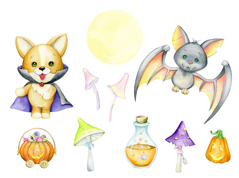 Bat, dog, potion bottle, moon, pumpkins, sweet mushrooms. Watercolor set of elements, in cartoon style, on an isolated background, for Halloween parties.