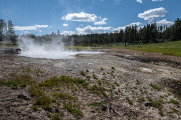 Churning Caldron, Mud Volcano Area, Yellowstone National Park