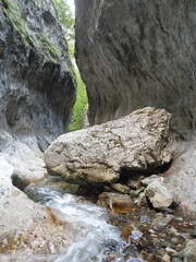 Limestone boulder in Cheile Rametului river gorges