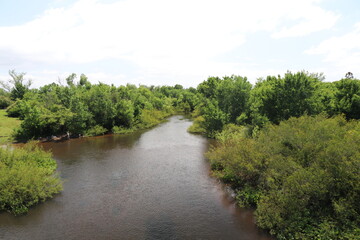 San Carlos stream bypasses the municipal park