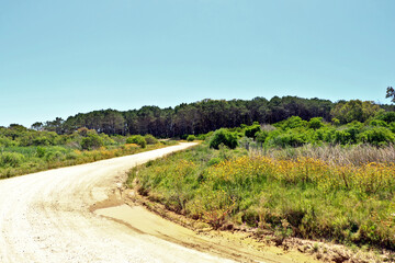 Fototapeta na wymiar Dirt road is characteristic of environmental preservation areas