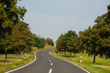 Road passing through trees somewhere in Germany.