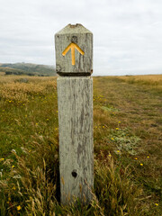Kortum Trail Marker on the bluffs of Sonoma Coast in Northern California 