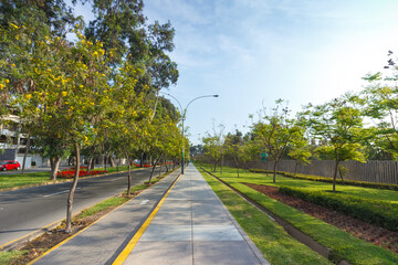 Empty bicycle way bike green path