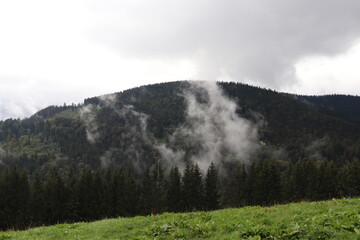 Aufsteigender Nebel an Hügel stimmungsvoll