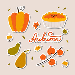 Hand drawn set of cute autumn stickers. Pumpkin, pie, pears, physalis, lettering. Vector isolated cartoon icons for web, apps, sticker print, poster, tag, invitation.