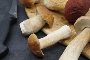 Boletus mushrooms prepared for cooking. Boletuson on a wooden tray. Boletus edulis. Closeup