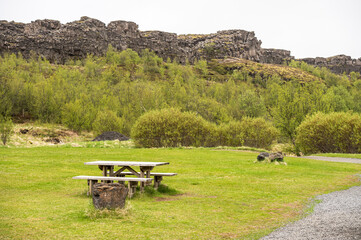 Obraz premium A lonely bench inside the Thingvellir Nationl Park, Iceland.