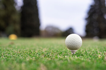 Golf club and lawn ball