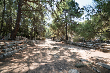 Ruins of the ancient Phaselis city. The city was founded by the Rhodesians in the VII century. Phaselis is also an ancient port city. Antalya province TURKEY  