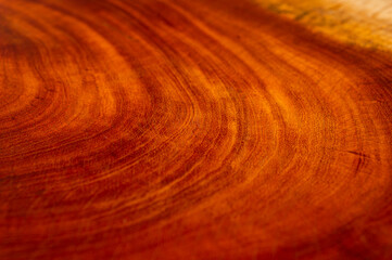 closeup on wood texture, short depth of field