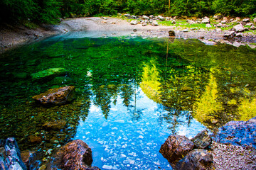 pines are reflected on a small alpine lake