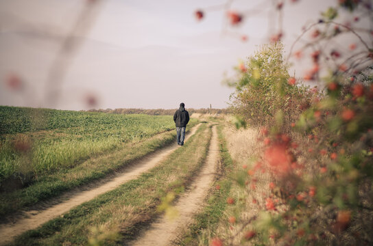 One Man Alone Walking Away On Rural Path With Rose Hip Red Berry Frame