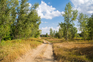 Fototapeta na wymiar Rural landscape. A country road runs through a sparse grove on the right Bank of the river. Clear blue sky with clouds in the background