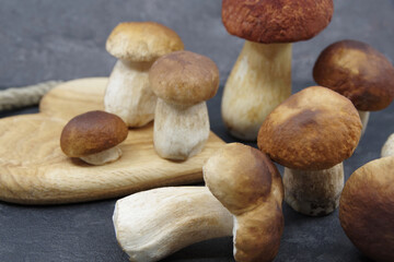 Boletus mushrooms prepared for cooking. Boletuson on a wooden tray. Boletus edulis. Closeup
