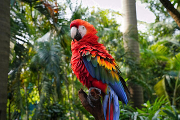 a red-and-blue spotted macaw sits on a tree branch