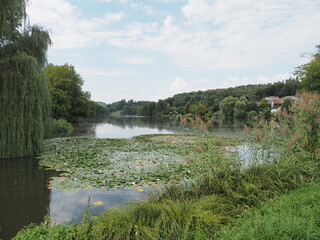 Niederwürzbacher Weiher – Würzbacher Weiher - Würzbachtal