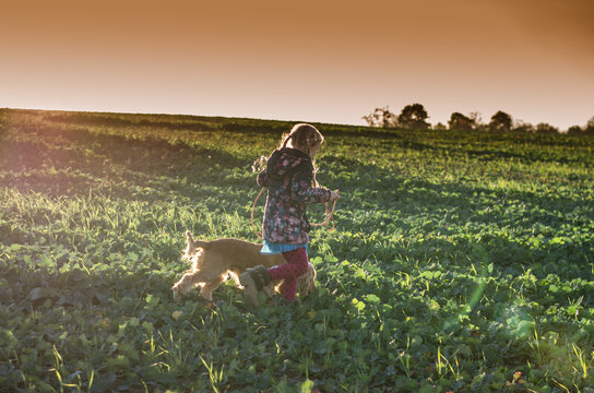 child and dog walking together in the colorful nature in backlit light