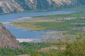Logs Floating After Volcanic Devastation
