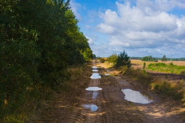 Rural landscape, muddy field road covered with puddles among fields and trees and shrubs, sun, summer beauty, blue sky and clouds