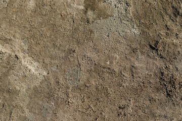 close-up of the texture of the stone by the lake.