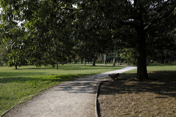 City park