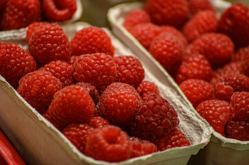 Close-up of fresh red ripe raspberry berries in organic container boxes on the table of farmers market.